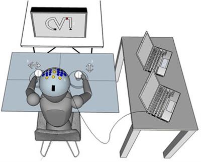 Brain Oscillatory and Hemodynamic Activity in a Bimanual Coordination Task Following Transcranial Alternating Current Stimulation (tACS): A Combined EEG-fNIRS Study